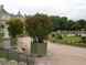  arbustes dans des caissons en bois, Luxembourg